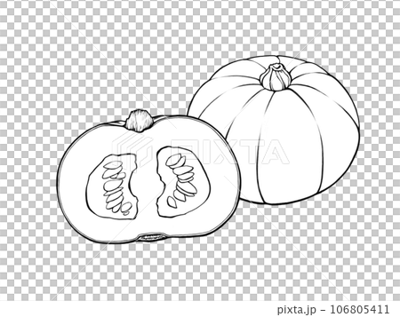 並んだ西洋かぼちゃ(丸ごとと半分に切ったもの)のシンプルな線画イラスト 並んだ西洋かぼちゃ(丸ごとと半分に切ったもの)のシンプルな線画イラスト 106805411