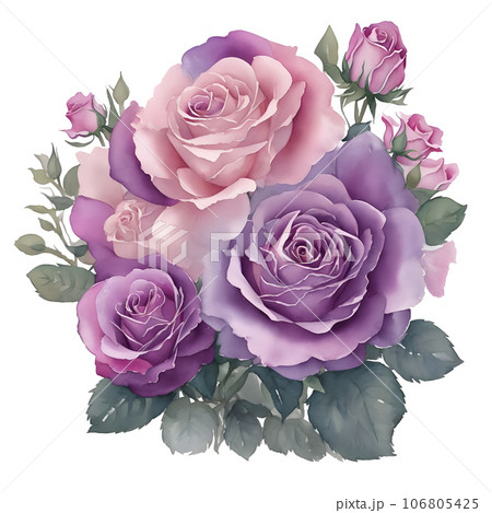 bouquet of violet roses bouquet of violet roses 106805425