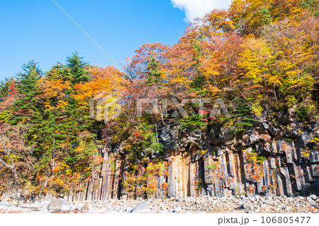 八幡平・松川渓谷の紅葉(松川玄武岩) 八幡平・松川渓谷の紅葉(松川玄武岩) 106805477