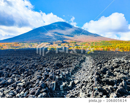焼走り熔岩流と岩手山（秋） 106805614