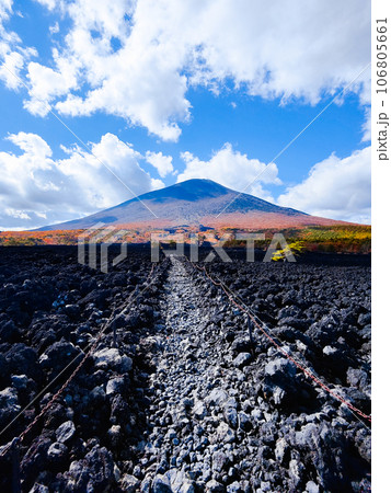 焼走り熔岩流と岩手山（秋） 106805661