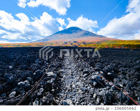 焼走り熔岩流と岩手山（秋） 106805662