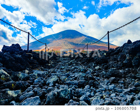 焼走り熔岩流と岩手山（秋） 106805708