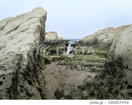 千葉県の地磯 千葉県の地磯 106807440
