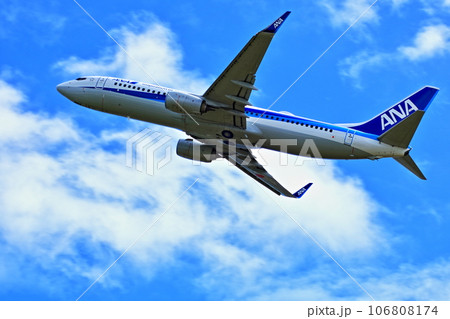 大阪国際空港 旅客機 ANA 離陸 猪名川土手 大阪国際空港 旅客機 ANA 離陸 猪名川土手 106808174