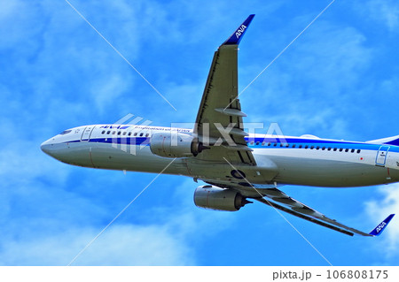 大阪国際空港 旅客機 ANA 離陸 猪名川土手 大阪国際空港 旅客機 ANA 離陸 猪名川土手 106808175