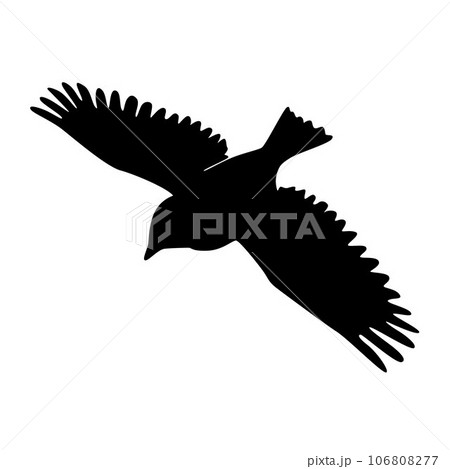 Bird silhouettes, bird flying and standing silhouettes detailed Bird silhouettes, bird flying and standing silhouettes detailed 106808277