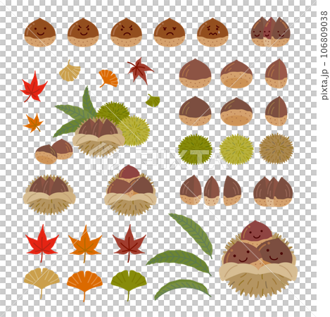 食べ物アイコンセット（秋）：シンプルでかわいい栗・もみじ・イチョウ 106809038