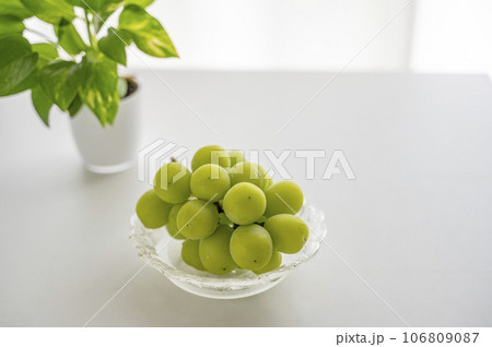 葡萄の王様シャインマスカット 106809087