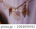 貝殻 106809492