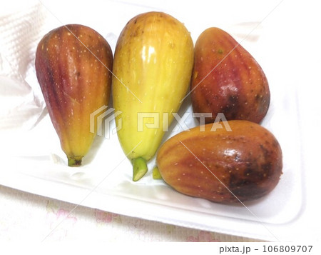 家庭菜園 収穫したイチジク 家庭菜園 収穫したイチジク 106809707