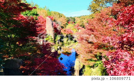 愛・地球博記念公園の日本庭園と紅葉 106809771