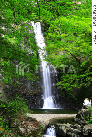 【大阪府】新緑の箕面大滝 【大阪府】新緑の箕面大滝 106809835