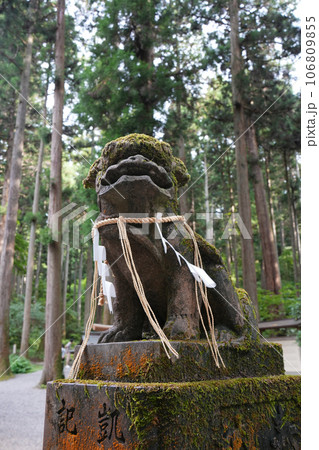 狛犬　御岩神社 106809855
