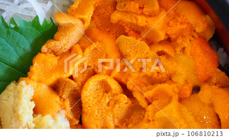 北海道 積丹 お食事処 みさき うに丼 北海道 積丹 お食事処 みさき うに丼 106810213