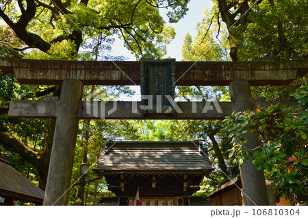 赤坂氷川神社（東京都港区赤坂） 106810304