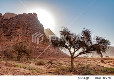 ダダンにあるライオンの墓(サウジアラビア、アル・ウラ) ダダンにあるライオンの墓(サウジアラビア、アル・ウラ) 106810576