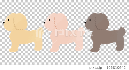 手書き風のシンプルなかわいいトイプードルのイラスト 横向き 主線なし 手書き風のシンプルなかわいいトイプードルのイラスト 横向き 主線なし 106810642
