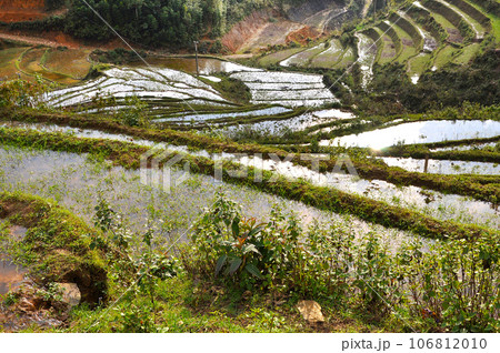Terraced rice field in Northern Vietnam Terraced rice field in Northern Vietnam 106812010