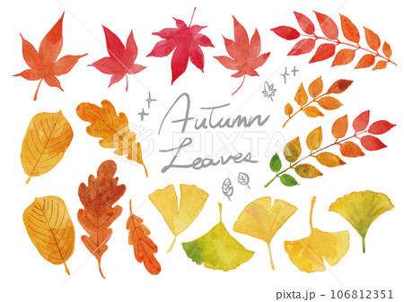 秋の葉 手描き水彩イラストセット 秋の葉 手描き水彩イラストセット 106812351
