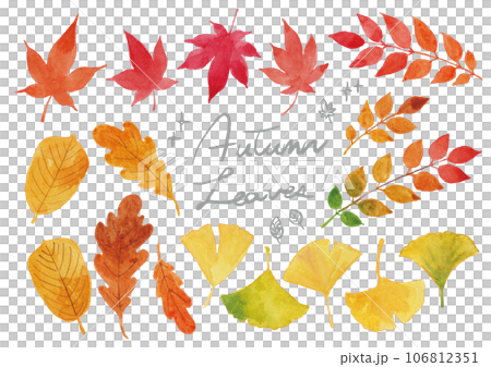 秋の葉 手描き水彩イラストセット 秋の葉 手描き水彩イラストセット 106812351