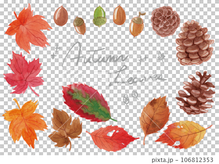 Autumn leaves, acorns, pine cones, hand-drawn watercolor illustration set 106812353