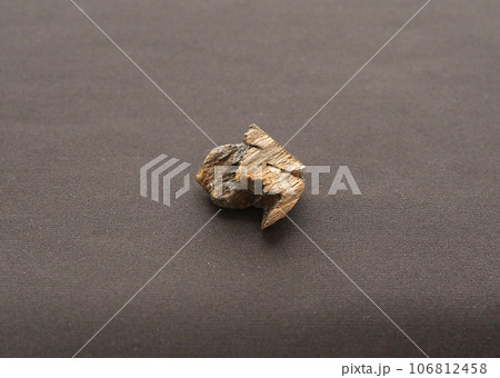 沈香香木タニ沈香4 106812458