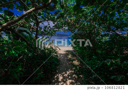 崎原ビーチ(奄美大島) 崎原ビーチ(奄美大島) 106812821