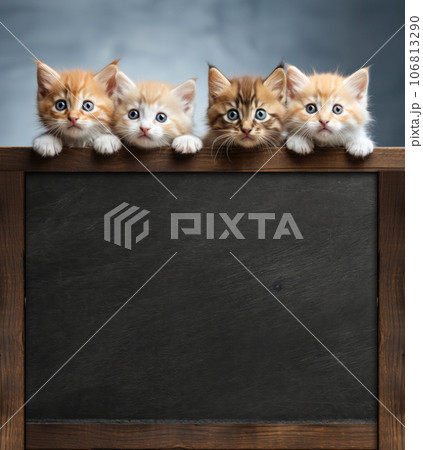 Kitten head with paws up peeking over blank blackboard, Pet kitten curiously peeking behind white background, Tabby baby cat showing placard template,Long web banner with copy space Kitten head with paws up peeking over blank blackboard, Pet kitten curiously peeking behind white background, Tabby baby cat showing placard template,Long web banner with copy space 106813290