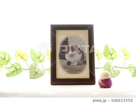 ペットの供養用の写真立て3 ペットロスのイメージ 106813358