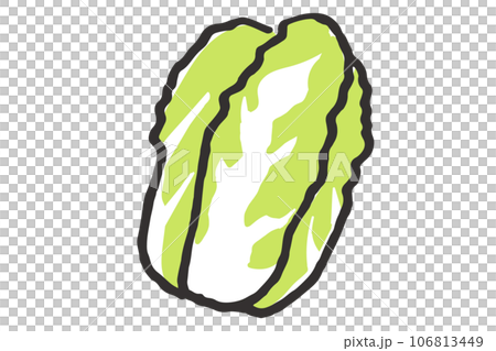 シンプルな白菜のイラスト シンプルな白菜のイラスト 106813449