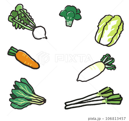 いろいろな野菜のイラストセット 106813457