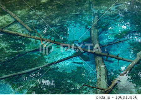 コバルトブルーに輝く神秘の泉 神の子池 コバルトブルーに輝く神秘の泉 神の子池 106813856