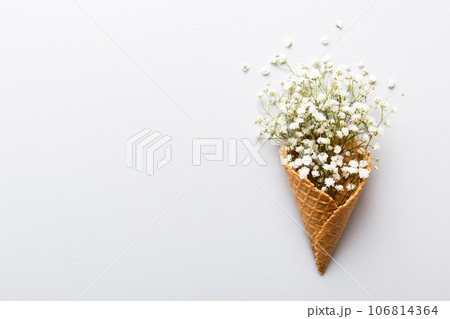 Waffle cone with beautiful gypsophila flowers on color background. summer concept. Copy space top view 106814364