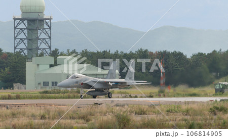 航空自衛隊第303飛行隊F-15Jイーグルのタキシング 106814905