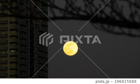 ビルと満月 106815088