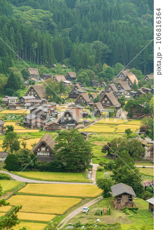 「「岐阜県」白川郷集落を展望台から一望する 「「岐阜県」白川郷集落を展望台から一望する 106816364