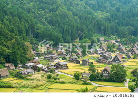 「「岐阜県」白川郷集落を展望台から一望する 106816368