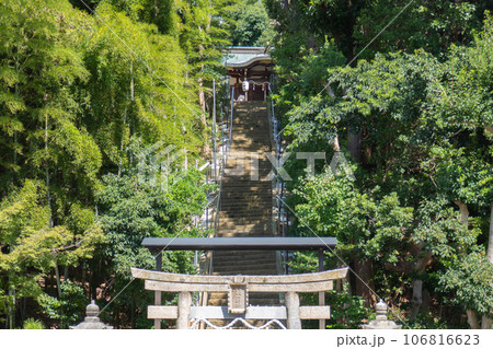階段が長い神社 106816623