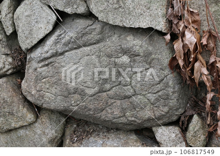 瀬戸内の島のペトログラフ 106817549