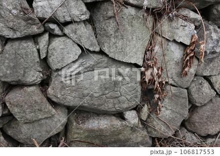 瀬戸内の島のペトログラフ 瀬戸内の島のペトログラフ 106817553