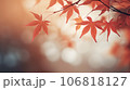 晴れた秋の紅葉 106818127