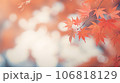 晴れた秋の紅葉 106818129