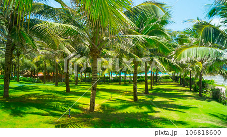 Park area at the hotel.  106818600