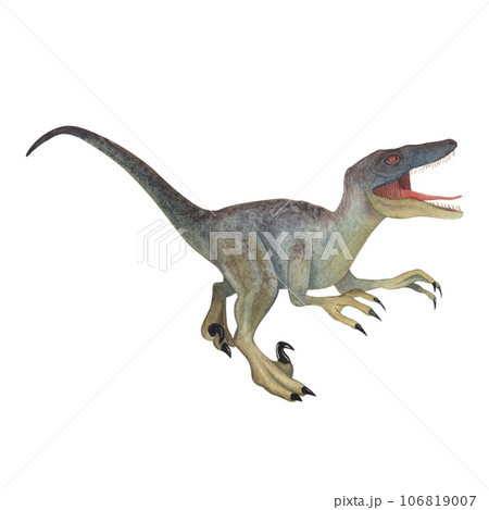 Velociraptor. Dinosaur. Watercolor illustration...のイラスト素材 [106819007] -  PIXTA