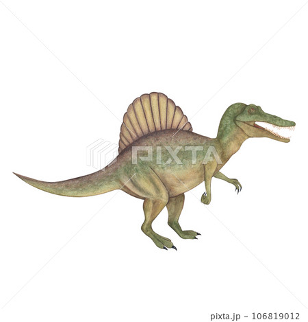 Spinosaurus. Dinosaur. Watercolor illustration...のイラスト素材 [106819012] - PIXTA