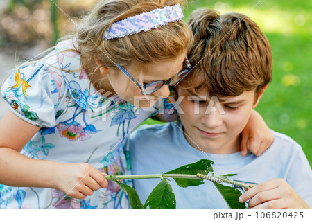 Little preschool girl and school kid boy watch caterpillar climb on plant. Happy excited children, siblings, brother and sister watching and learning insects in domestic garden. 106820425