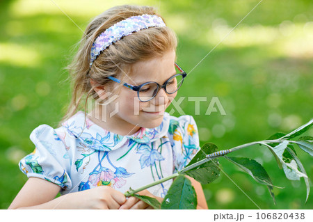 Little preschool girl watches caterpillar climb on plant. Happy excited child watching and learning insects in domestic gardens. 106820438