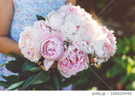 Cute adorable little preschool girl with huge bouquet of blossoming pink peony flowers. Portrait of smiling preschool child in domestic garden on warm spring or summer day. Summertime. Cute adorable little preschool girl with huge bouquet of blossoming pink peony flowers. Portrait of smiling preschool child in domestic garden on warm spring or summer day. Summertime. 106820448