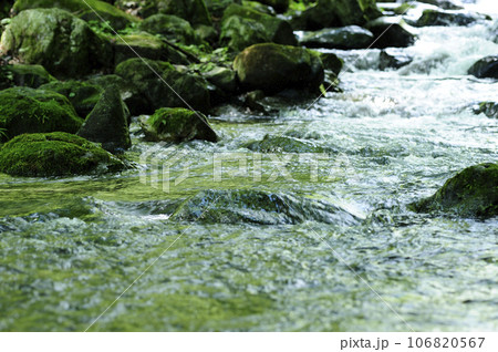 小川の水の流れ 106820567